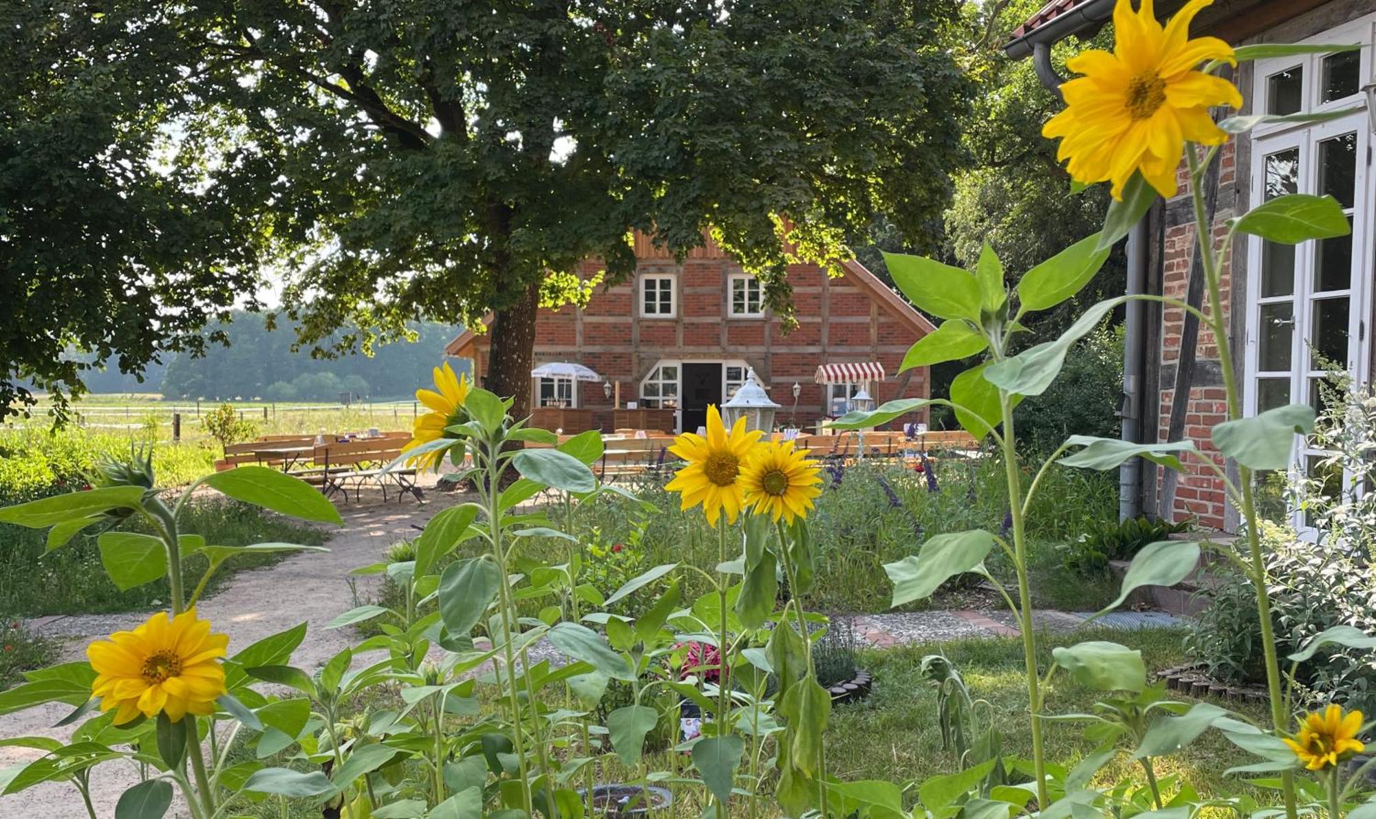 Hotel Traumzeithof Eschede Экстерьер фото