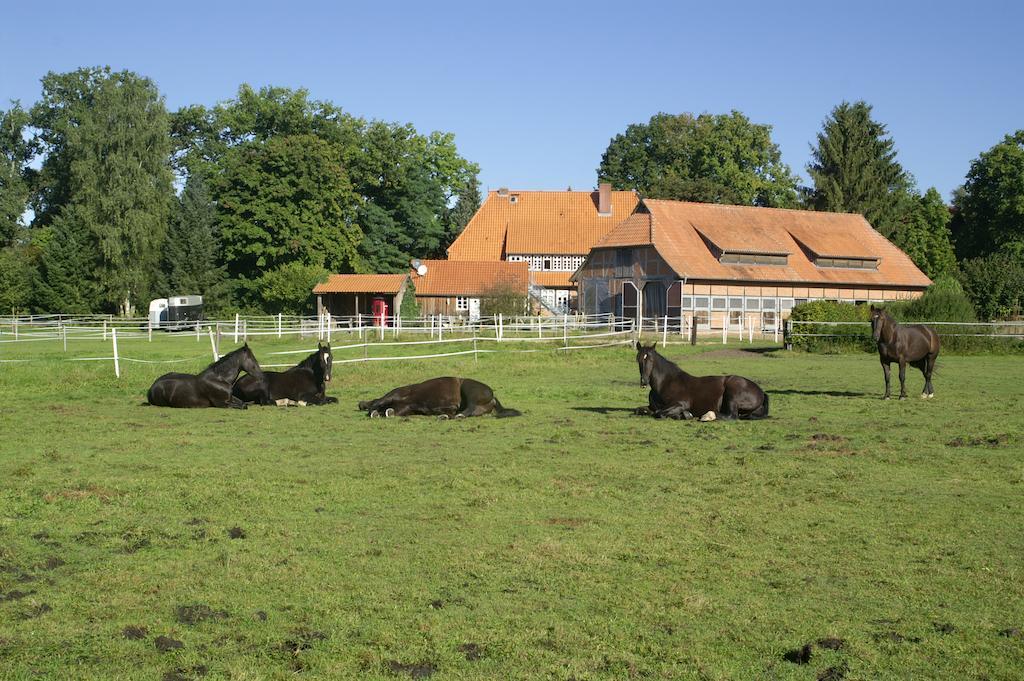 Hotel Traumzeithof Eschede Экстерьер фото