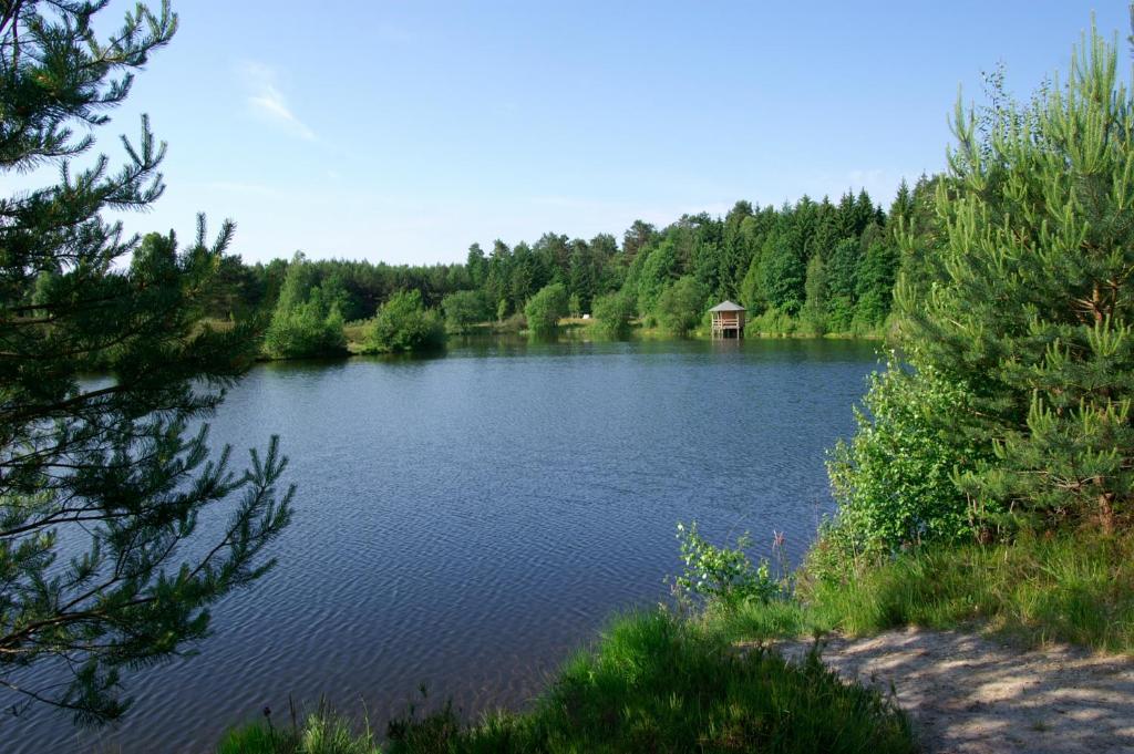 Hotel Traumzeithof Eschede Экстерьер фото